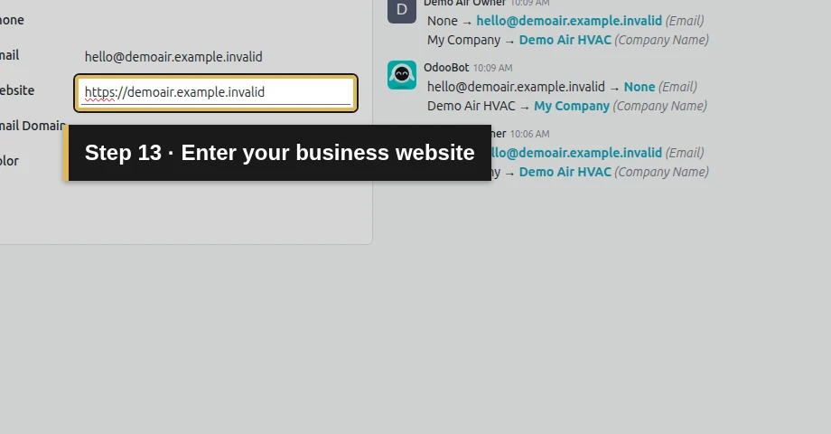 Step 13: Enter your business website. The exact control is outlined in gold.