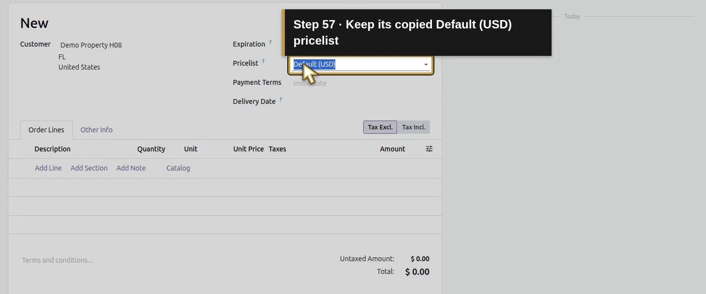 Action 57: Keep its copied Default (USD) pricelist. The actual target is highlighted in gold.