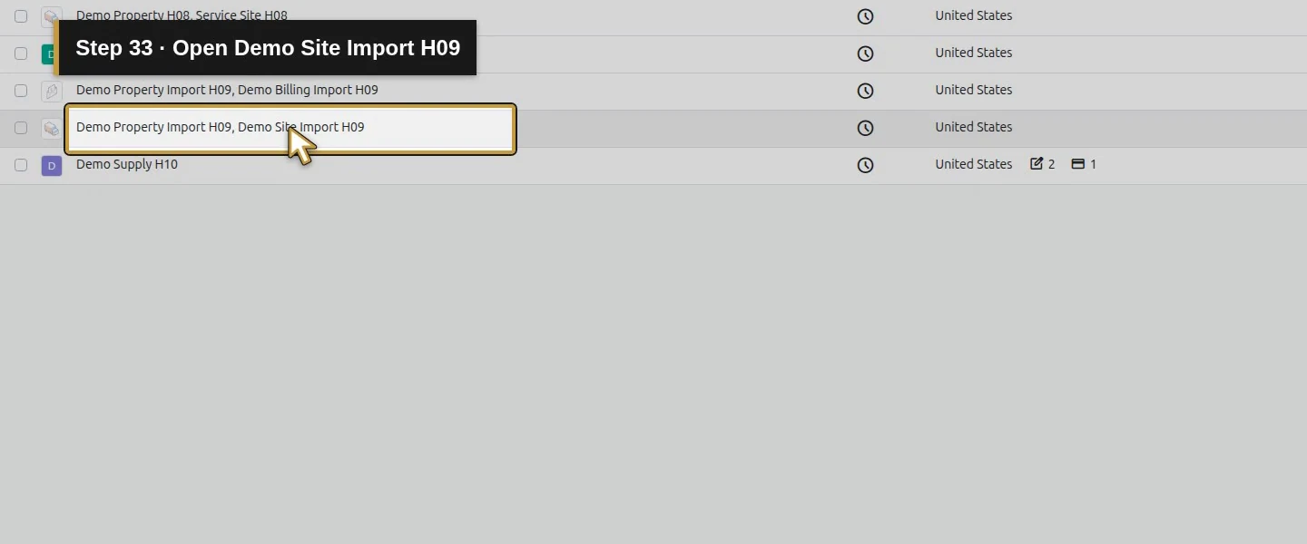 Action 33: Open Demo Site Import H09. The actual target is highlighted in gold.
