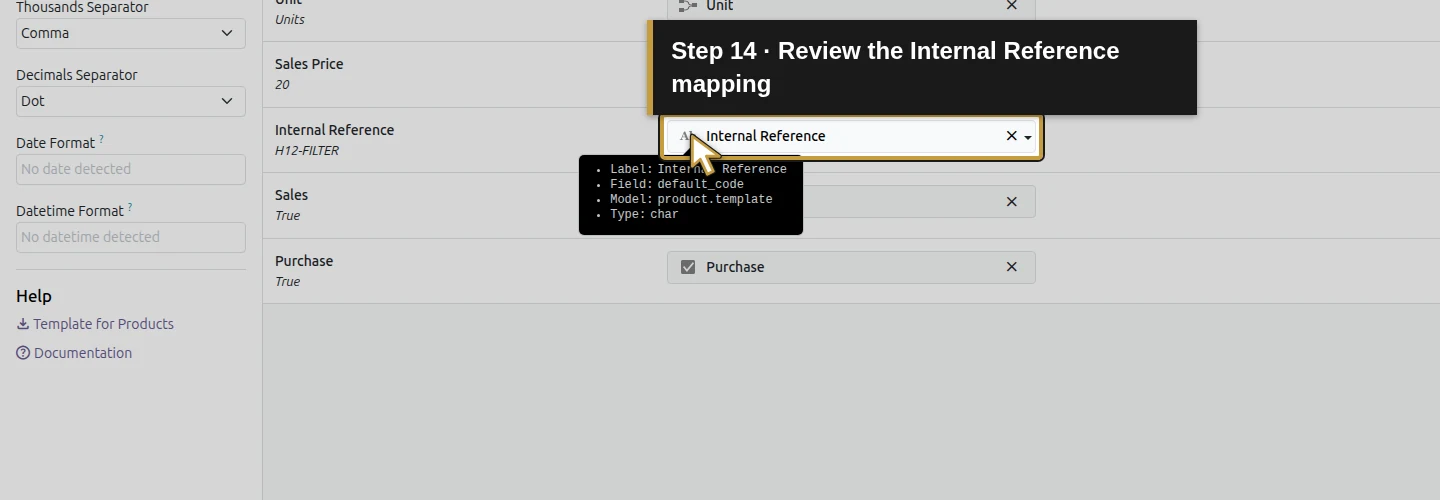 Step 14: Review the Internal Reference mapping. The actual Odoo control is highlighted in gold.