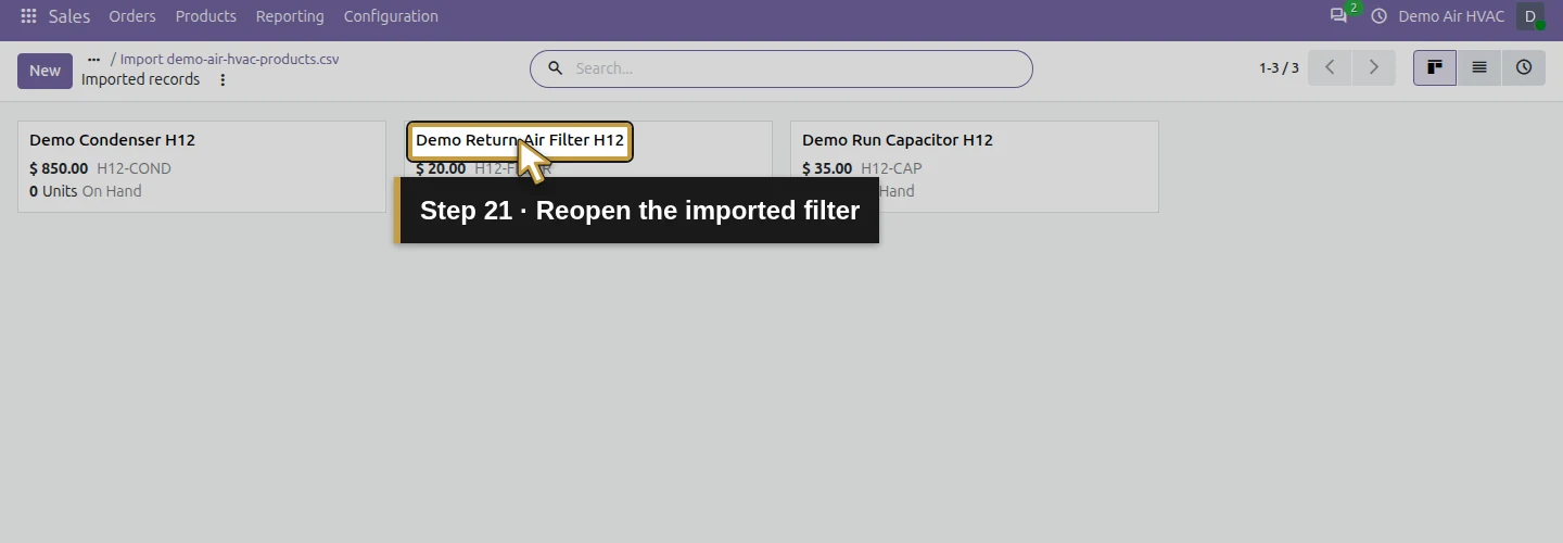 Step 21: Reopen the imported filter. The actual Odoo control is highlighted in gold.