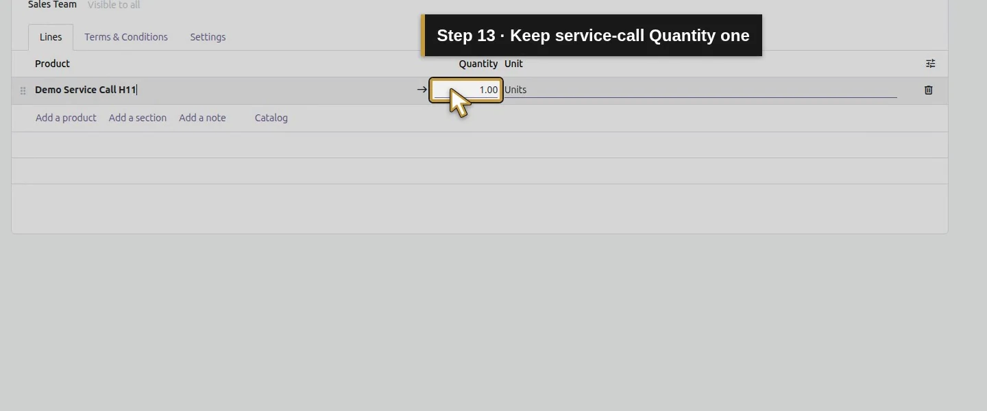 Action 13: Keep service-call Quantity one. The actual target is highlighted in gold.