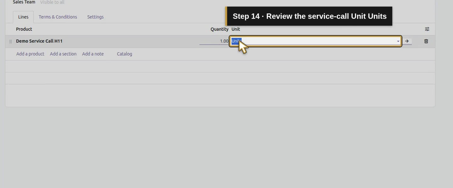 Action 14: Review the service-call Unit Units. The actual target is highlighted in gold.