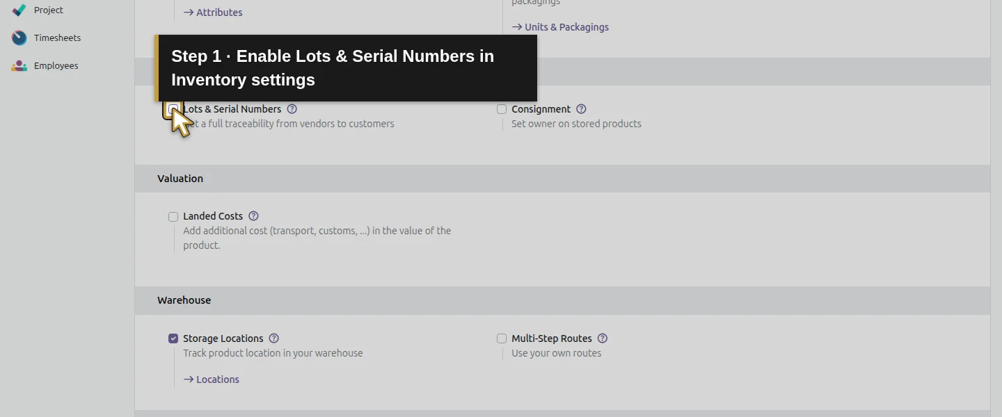 Action 1: Enable Lots & Serial Numbers in Inventory settings. The actual target is highlighted in gold.