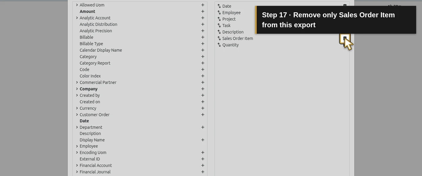 Action 17: Remove only Sales Order Item from this export. The actual target is highlighted in gold.