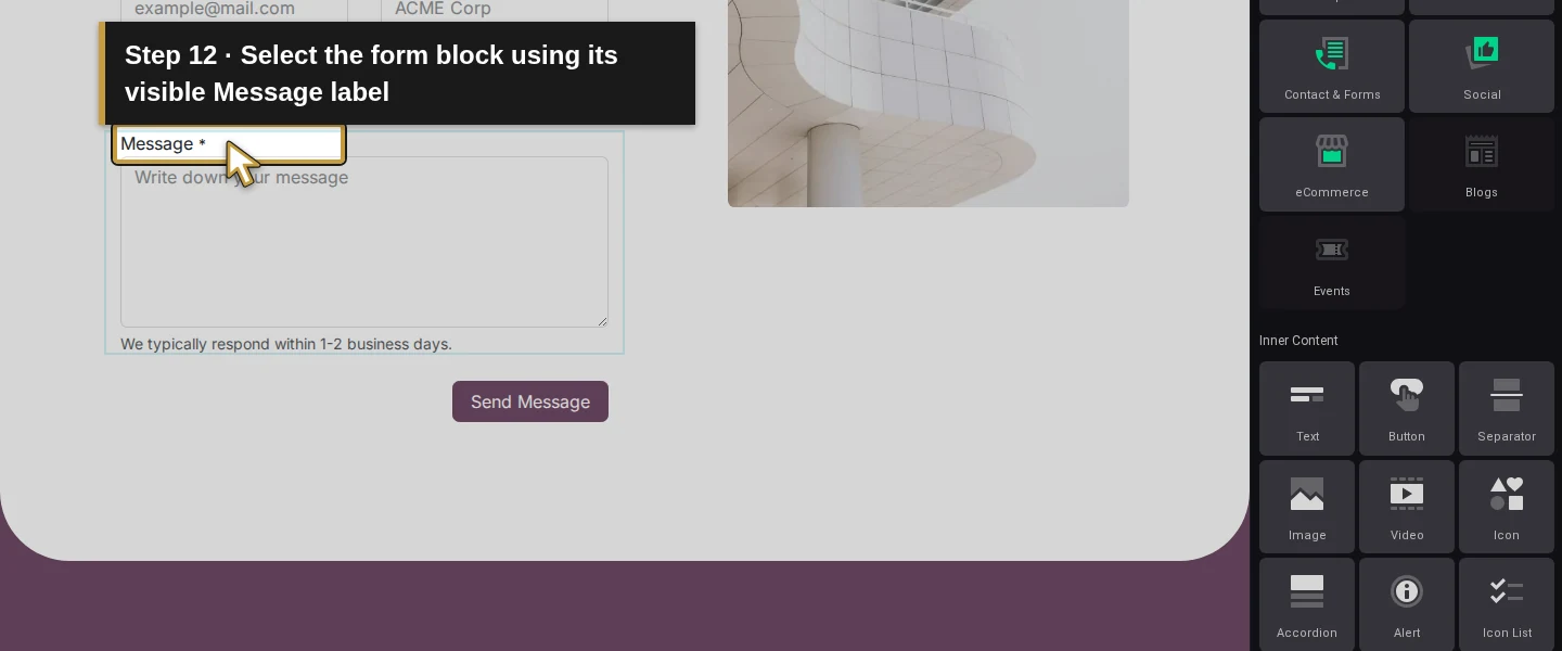 Action 12: Select the form block using its visible Message label. The actual target is highlighted in gold.