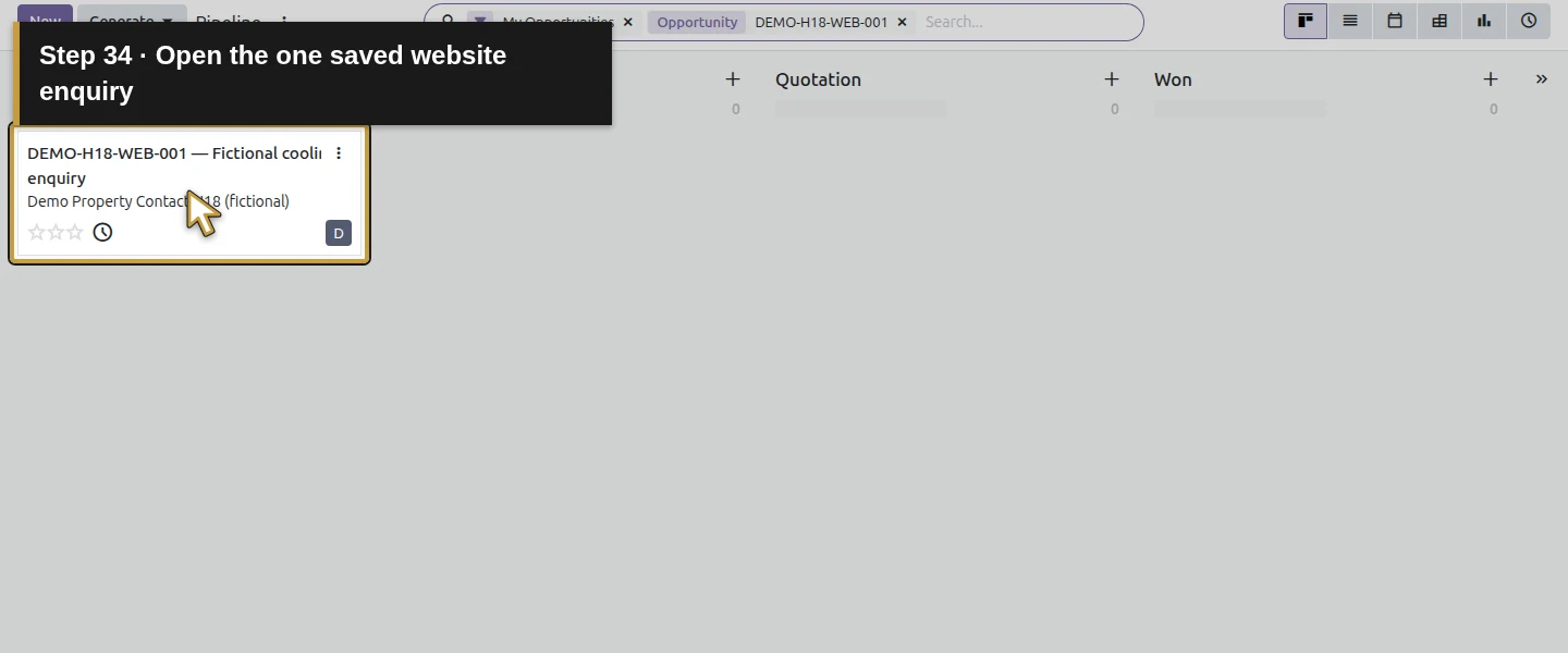 Action 34: Open the one saved website enquiry. The actual target is highlighted in gold.